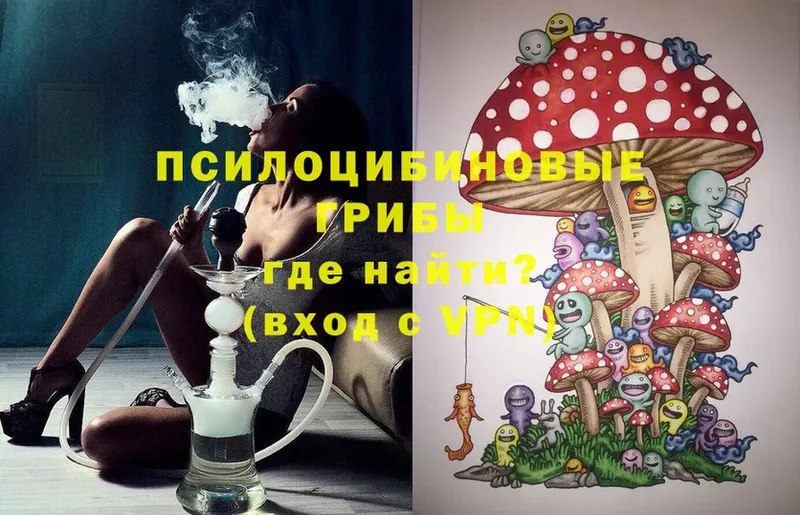 Галлюциногенные грибы MAGIC MUSHROOMS  купить  цена  Барнаул 